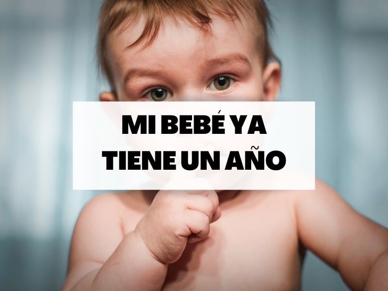portada-año-bebe